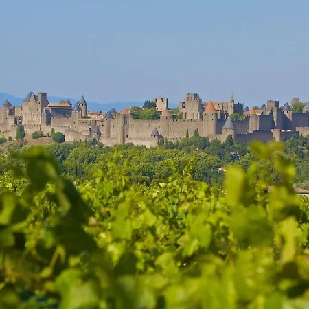 Mas Des Vignes - View Cite De בית נופש